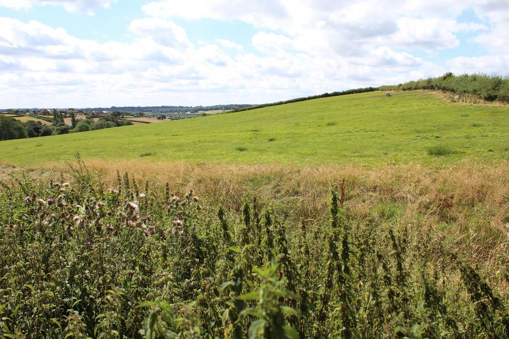 View To The Side Of The Garden