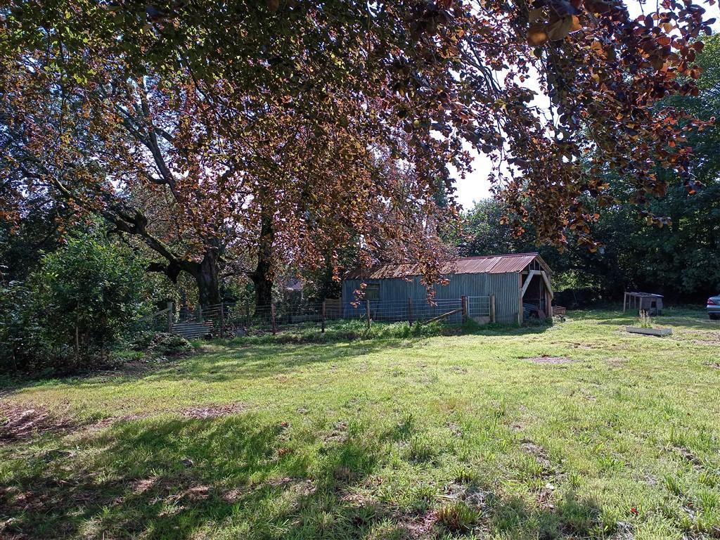 Front Garden Area