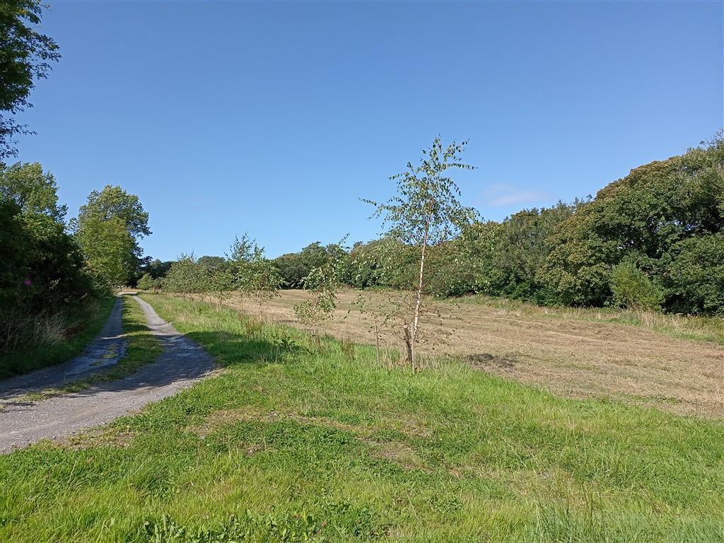 Driveway To House &amp; Land