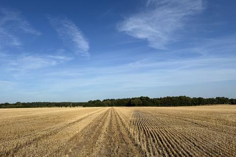 Farm land for sale, Land At Felthorpe, Norfolk