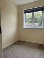 455714284 478656128287527 4584444544755820970 n.jp