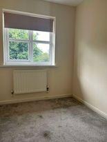 455704430 533308325932922 4567149667250441003 n.jp