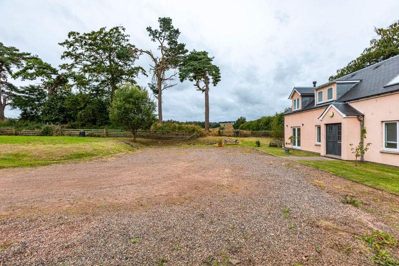 Driveway Parking to