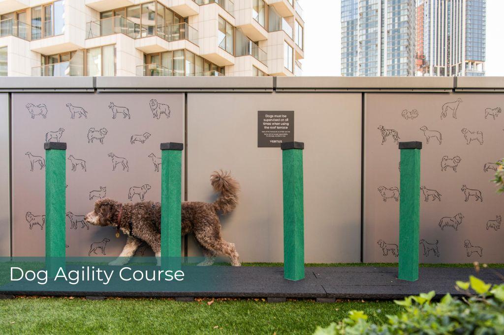 44afdc8251179565937a0df56143