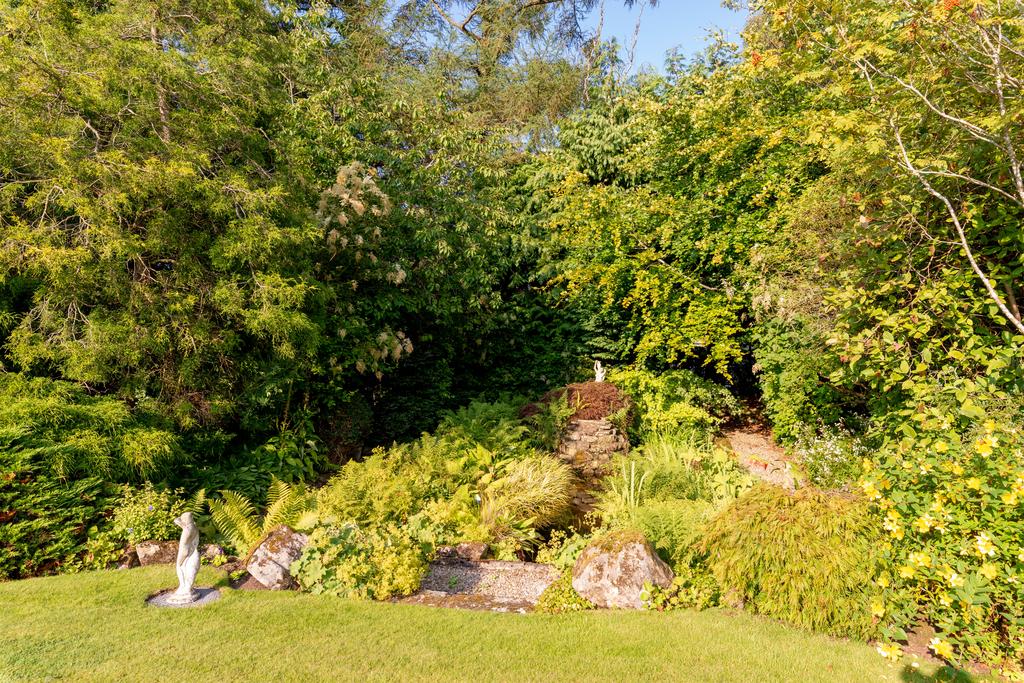 Property Image 54