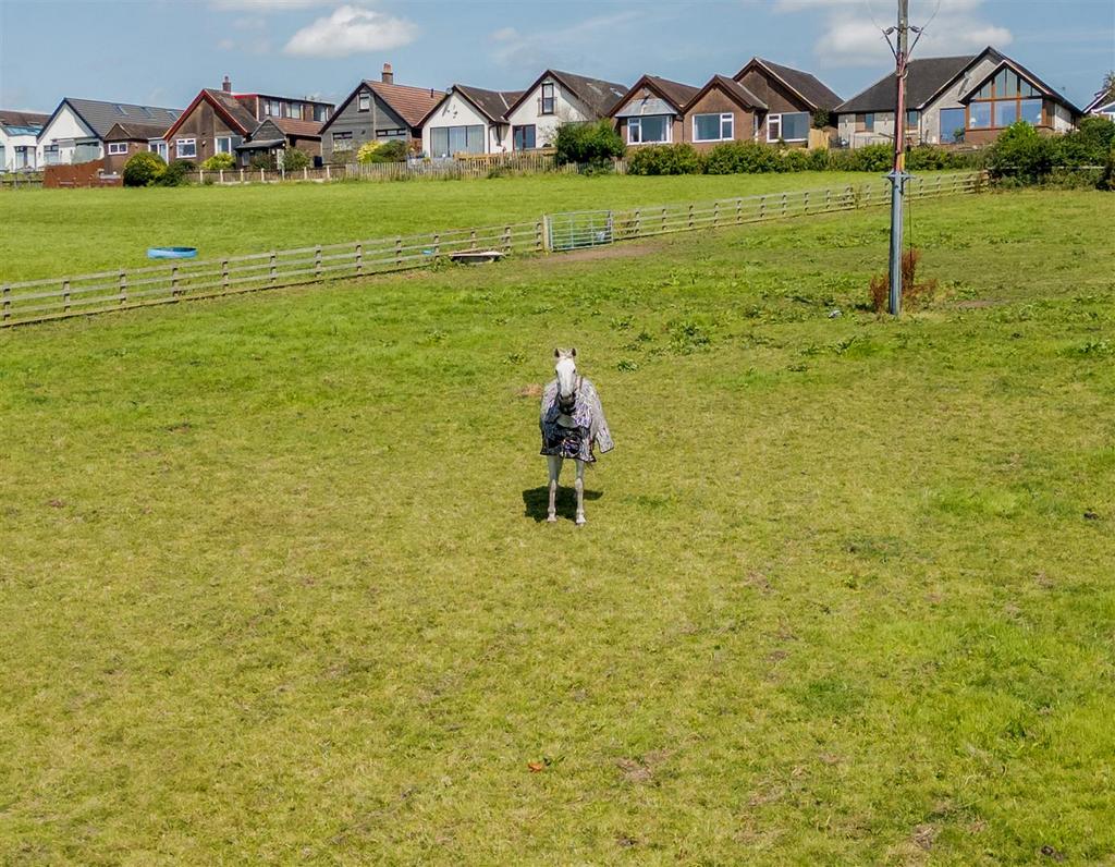 DJI 0061-Edit.jpg