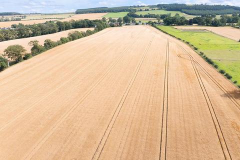 Land for sale, Jedburgh TD8