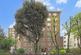 Additional image 17 of Wellington Road, London NW8