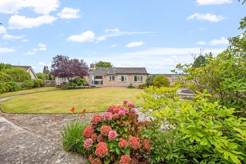 undefined, Wareham, Dorset