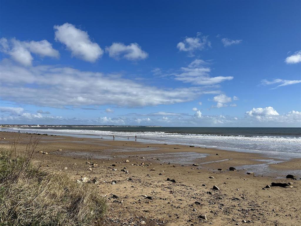 13 A579 F2-B347-4465-9 D12-A0 E0730 F2 DF7.jpeg