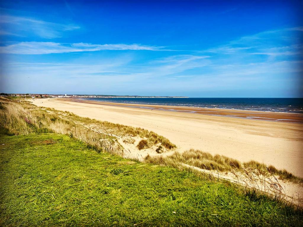 95 DE2 D5 D-6 F9 F-4 E58-A487-A5 E8 FFEA29 EA.jpeg