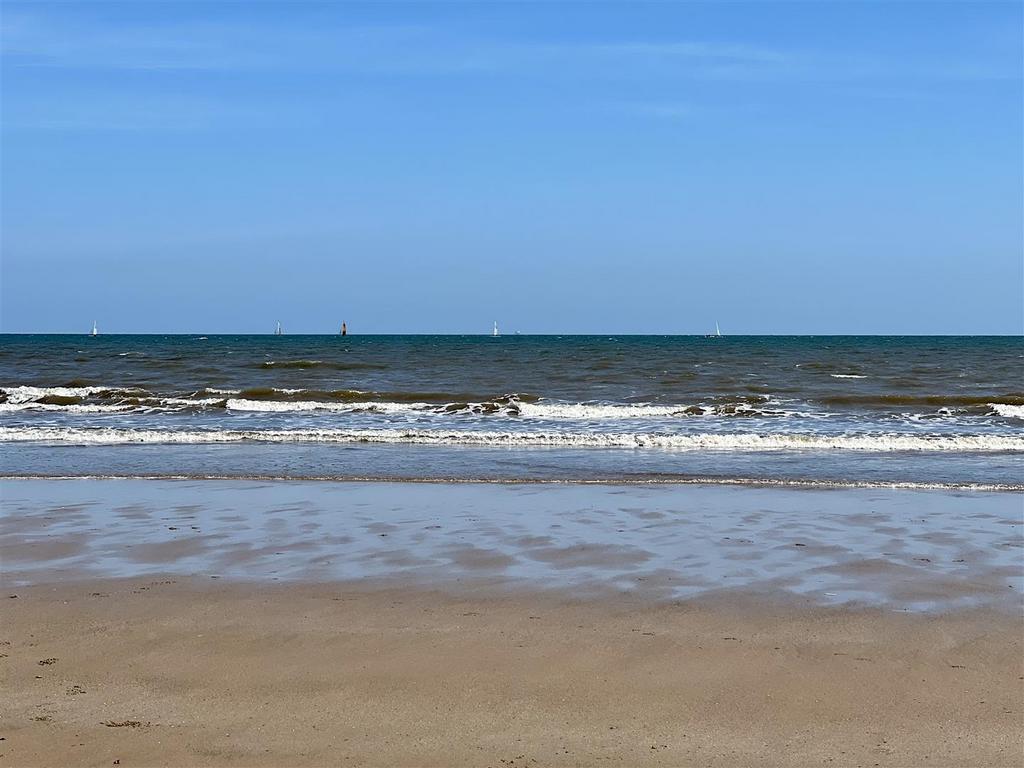 18 F9 F1 FE-501 E-40 BE-8 EE7-E3936 B9 DB075.jpeg