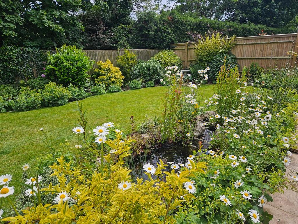 Garden 4 - New Alto.jpg