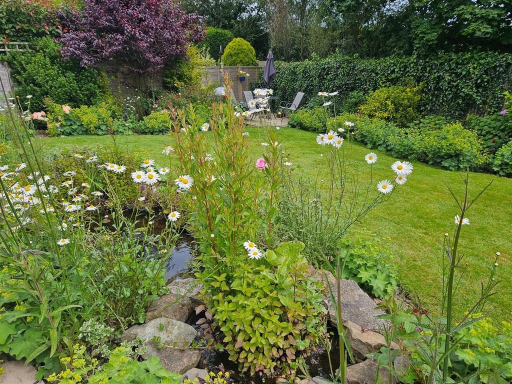 Garden 3 - New Alto.jpg