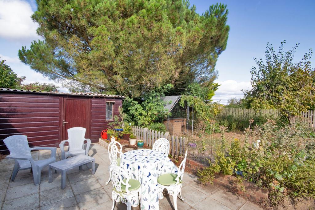 Patio & Shed