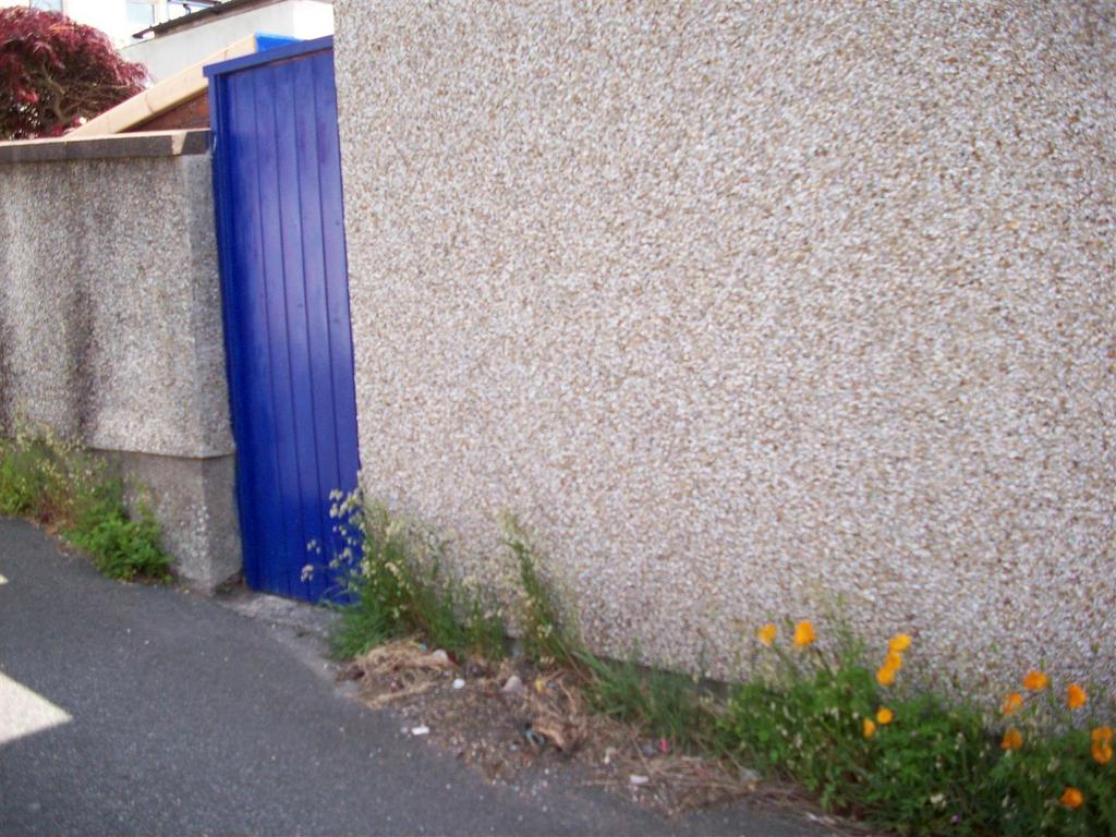 1 Caradog Door With Poppies.JPG