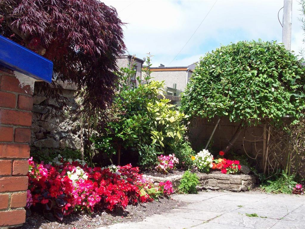 1 Caradog 100 8726.JPG