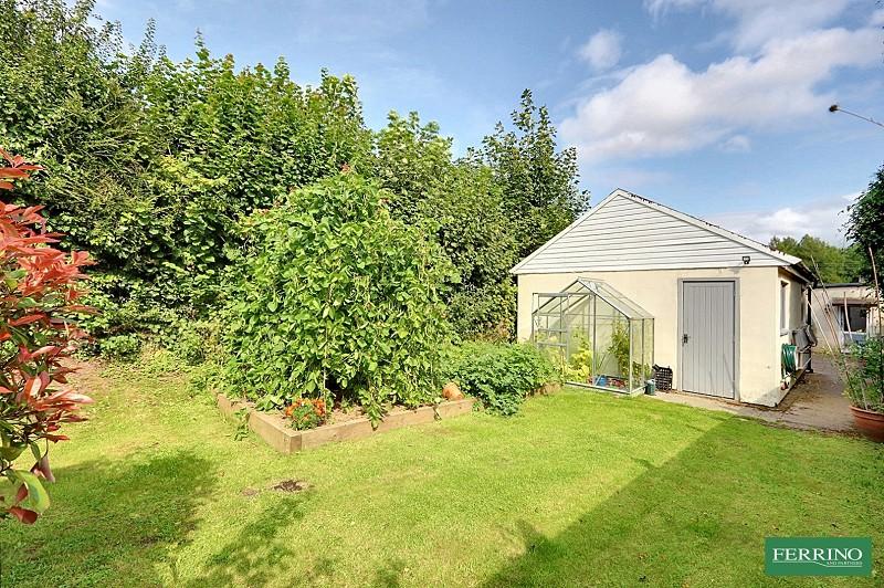Vegetable Garden