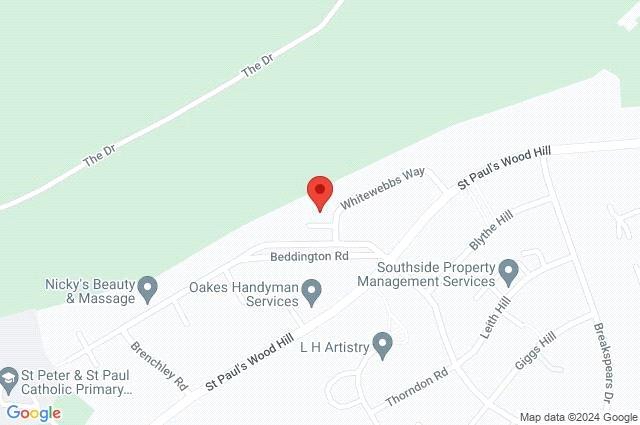 Google Maps Image