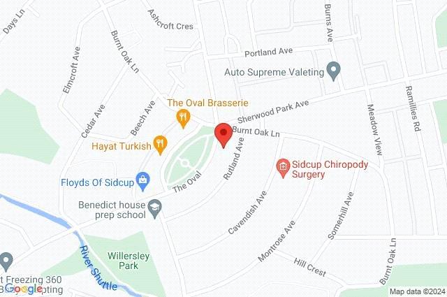 Google Maps Image