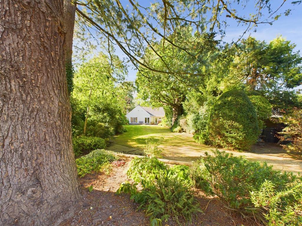 Southerly Facing Rear Garden