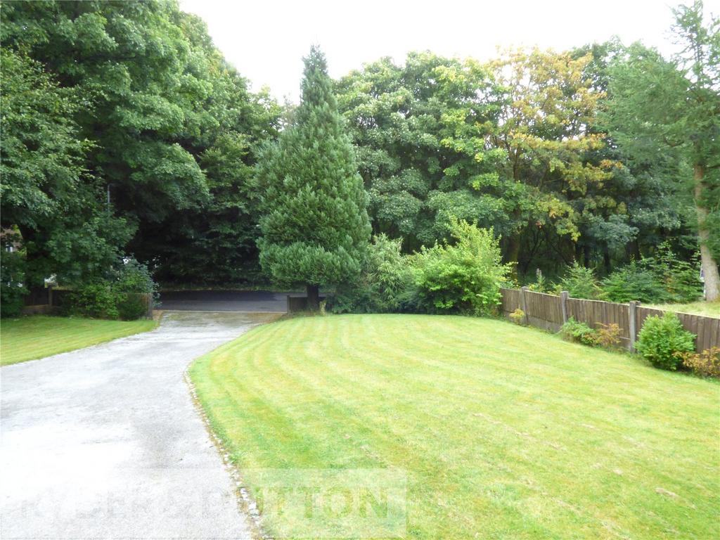 Wooded Outlook