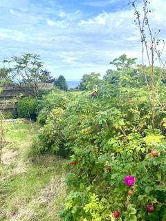 3 bedroom semi-detached house for sale, 1 North Bank Cottages, Whiting Bay, Isle of Arran, KA27 8QA