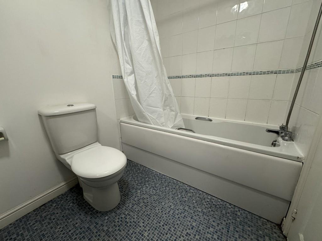 Img 0950