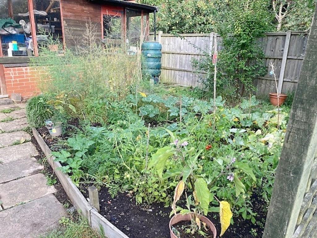 Kitchen Garden