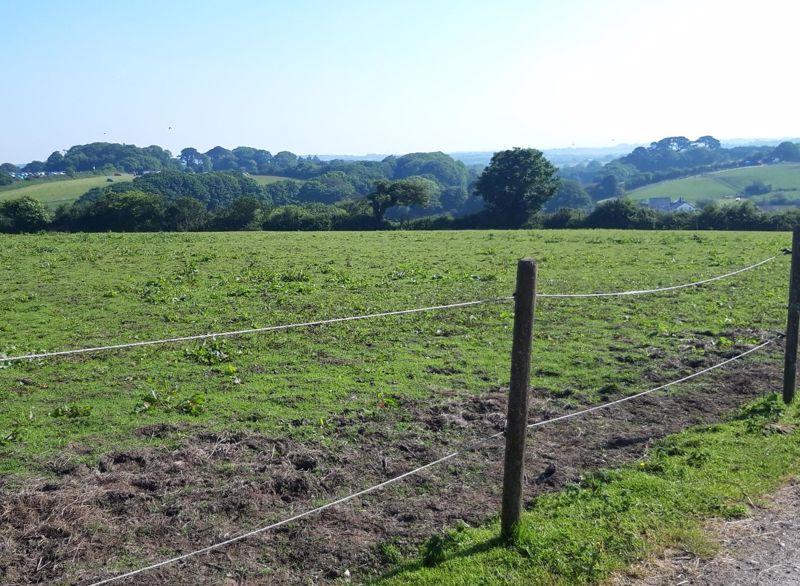 Land and view