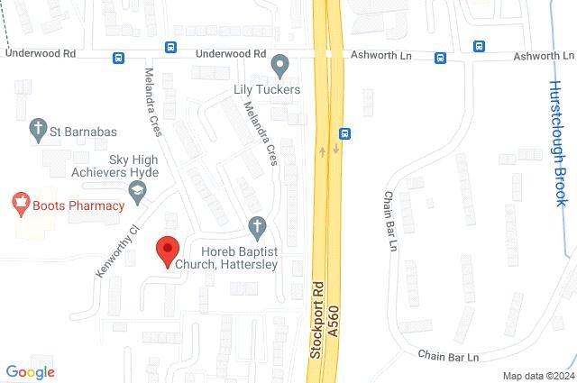 Google Maps Image