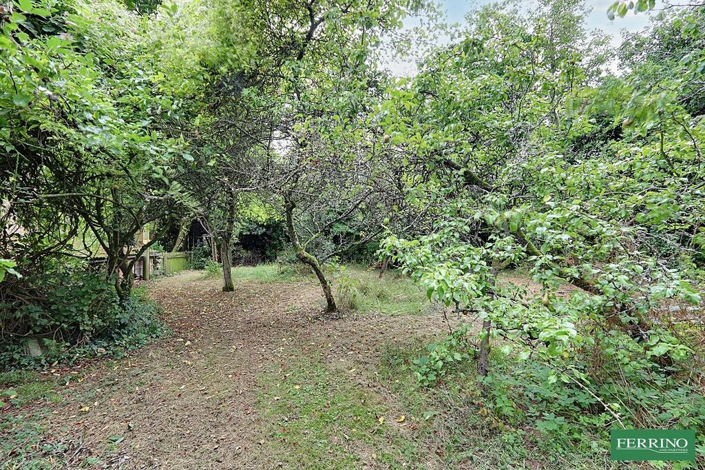 Orchard
