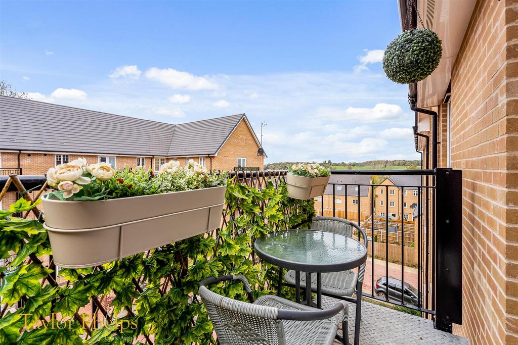 Arnoldclose-7.jpg