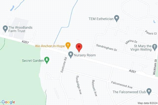 Google Maps Image