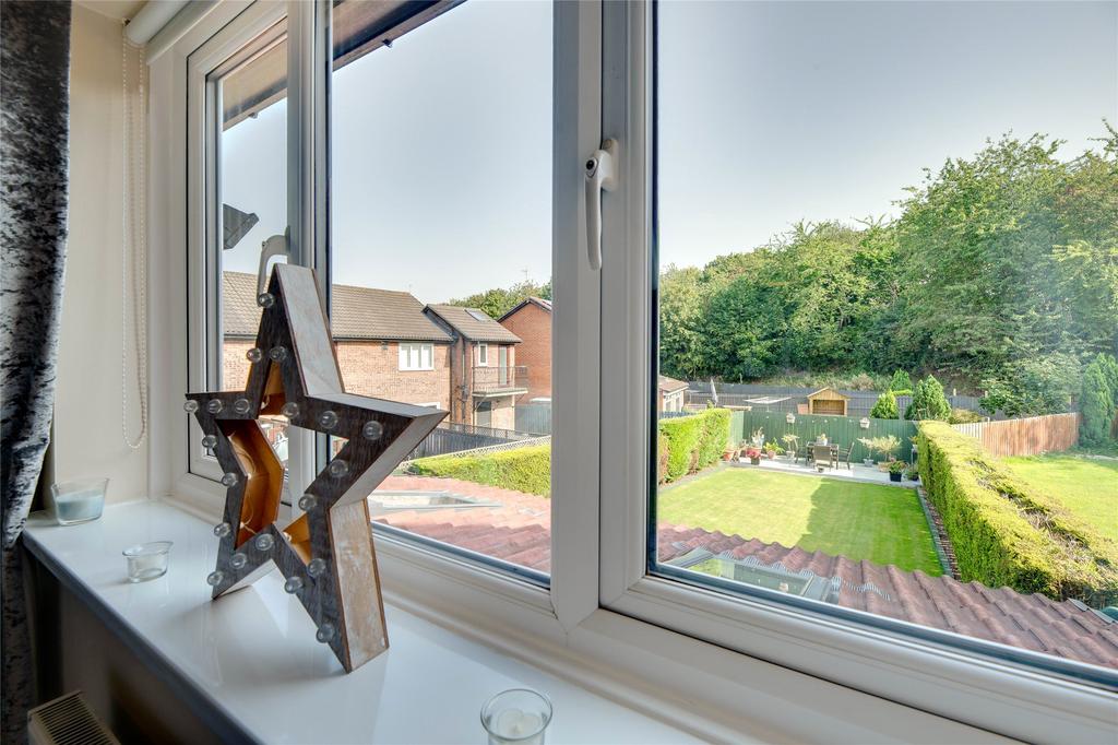 Window View