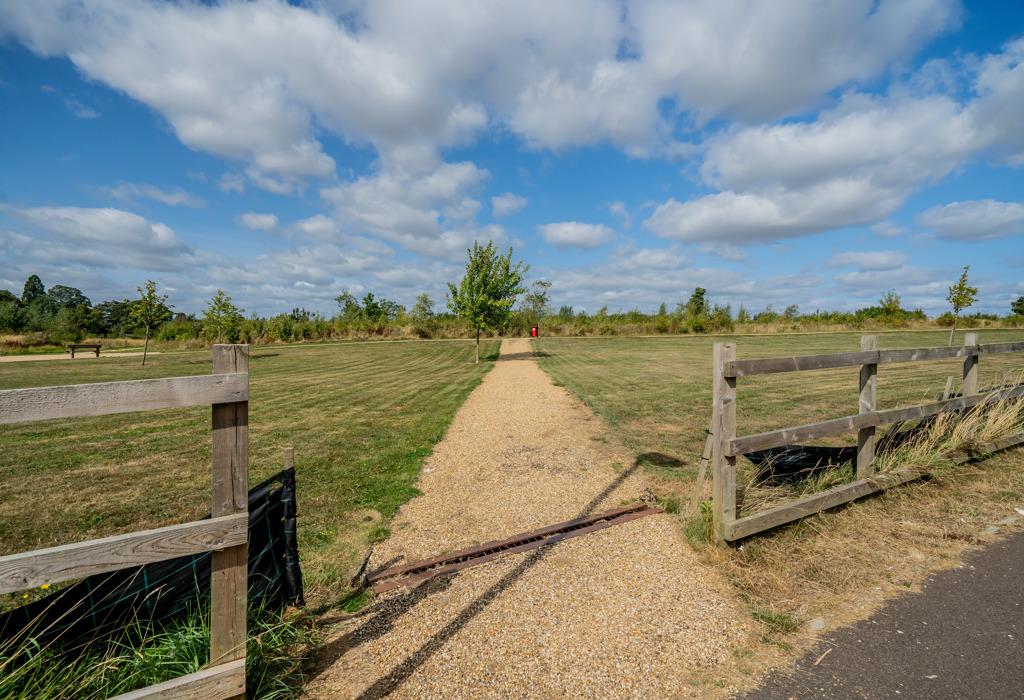 Nearby green space