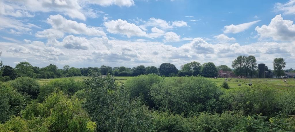 Lond view