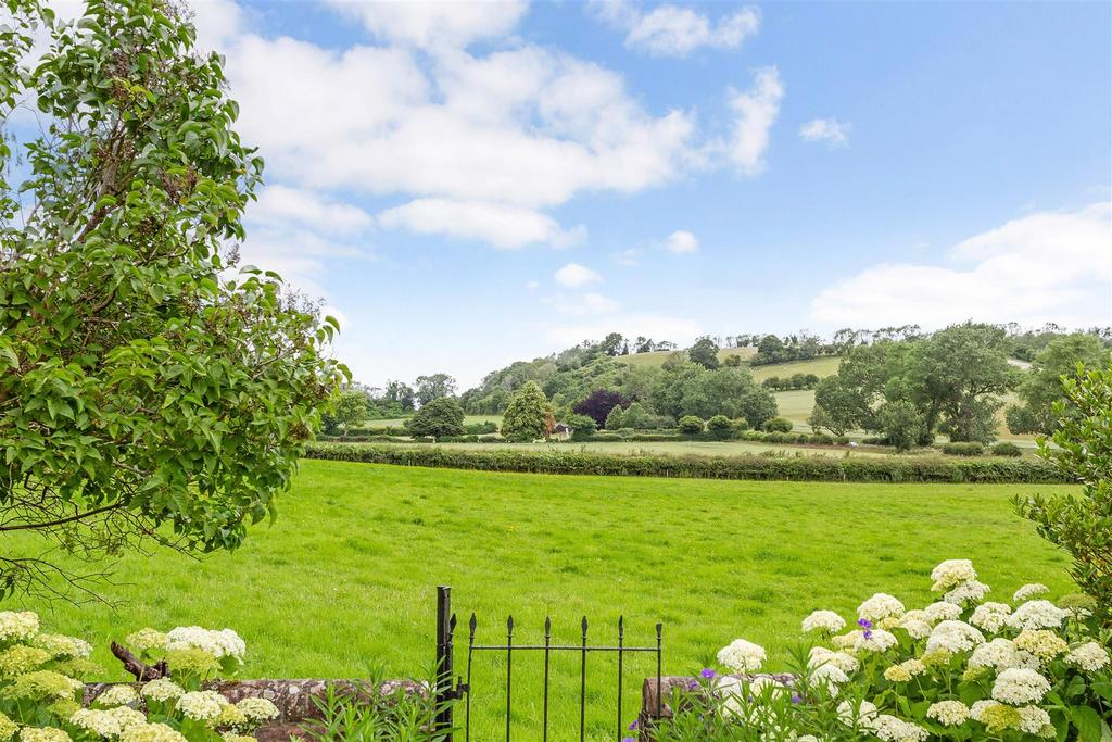 View from Garden