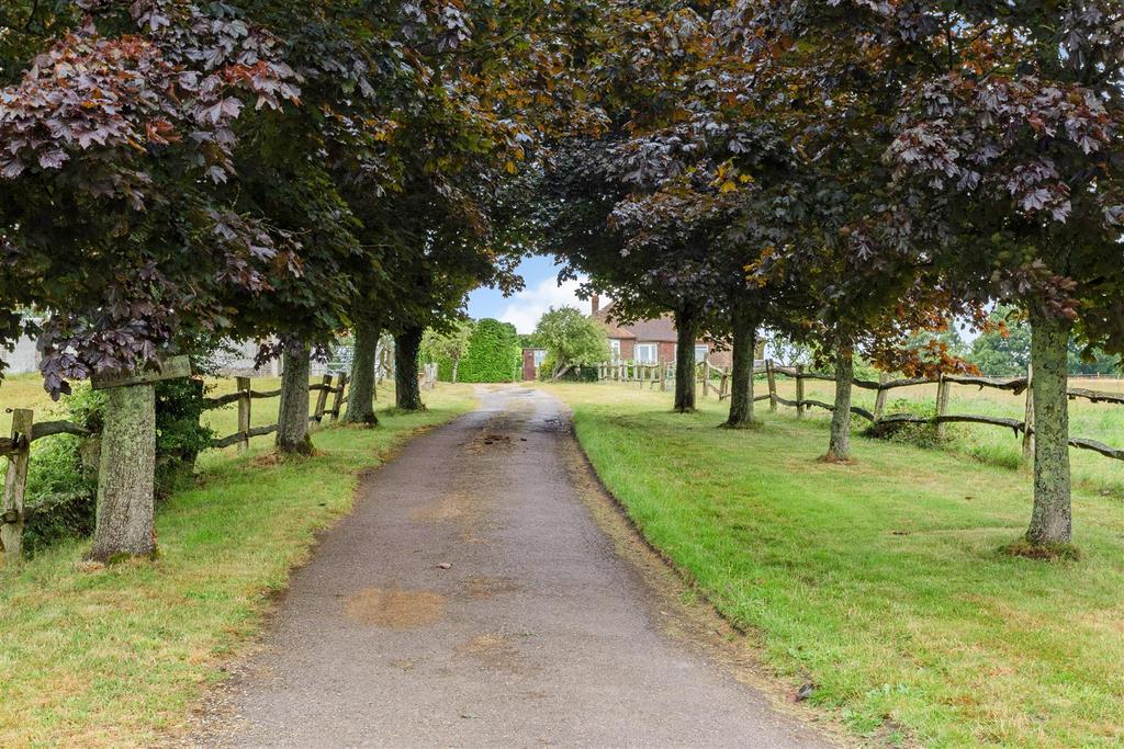 Driveway Approach