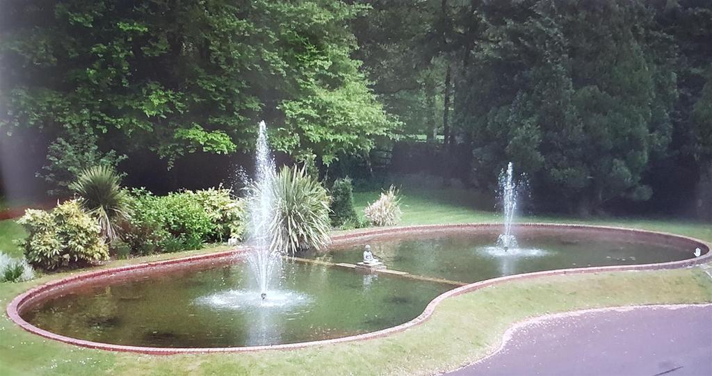 Pond in Communal Gardens