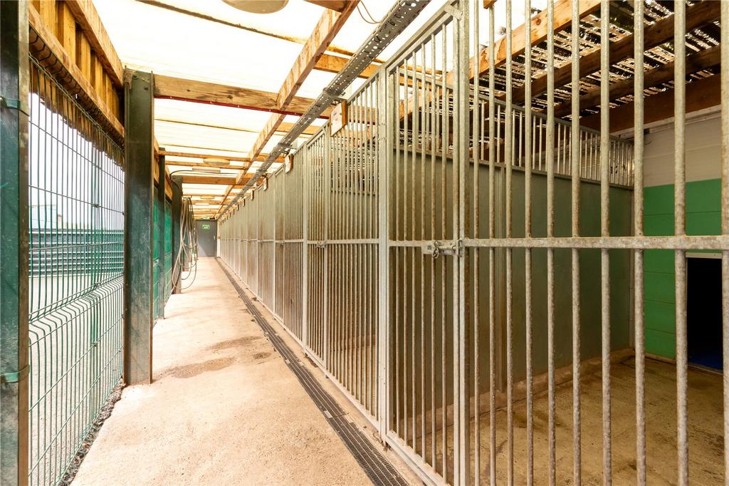 Kennels