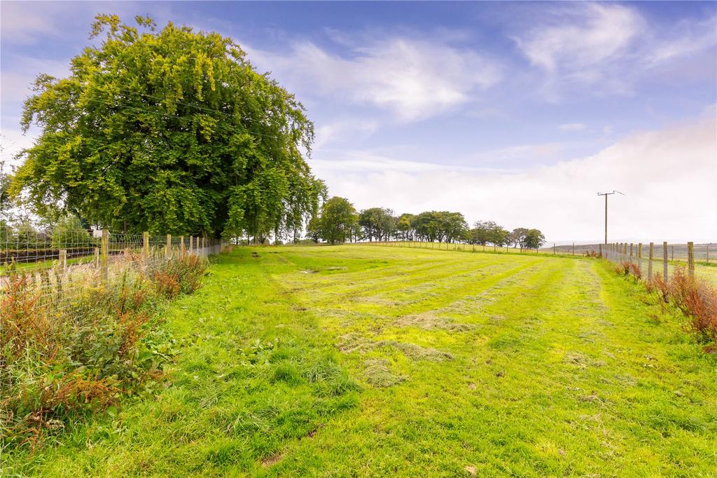 Exercise paddocks