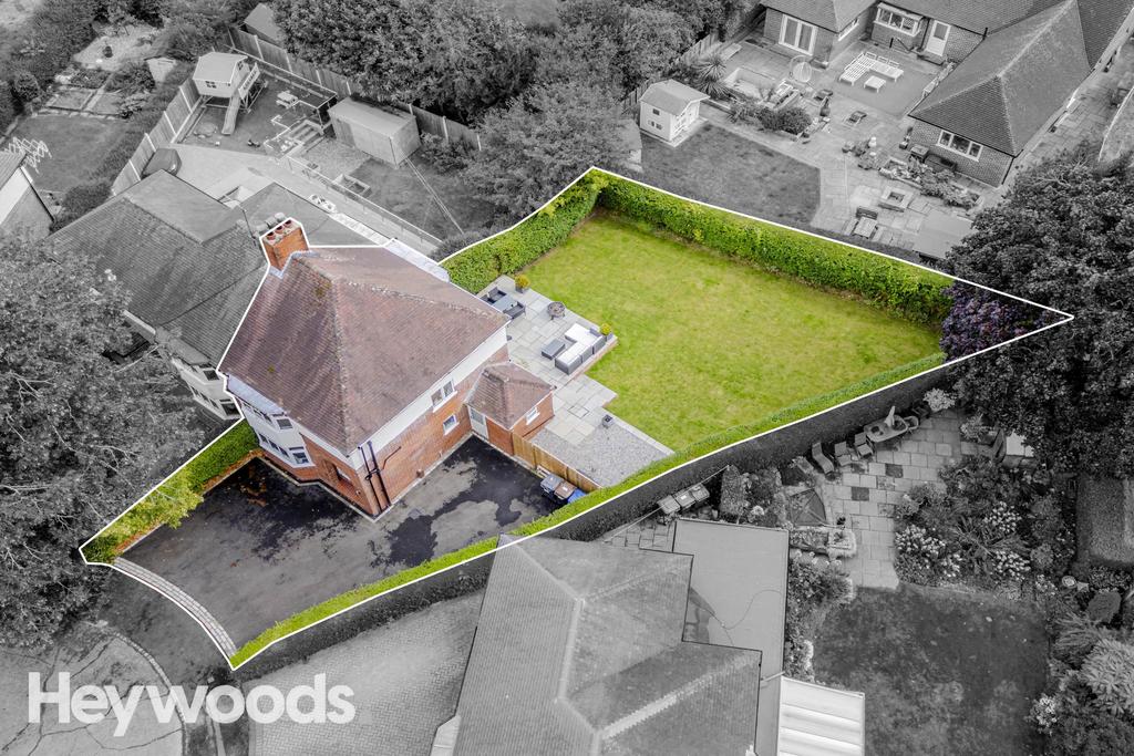 20240822-DJI 0401-Enhanced-SR - Copy