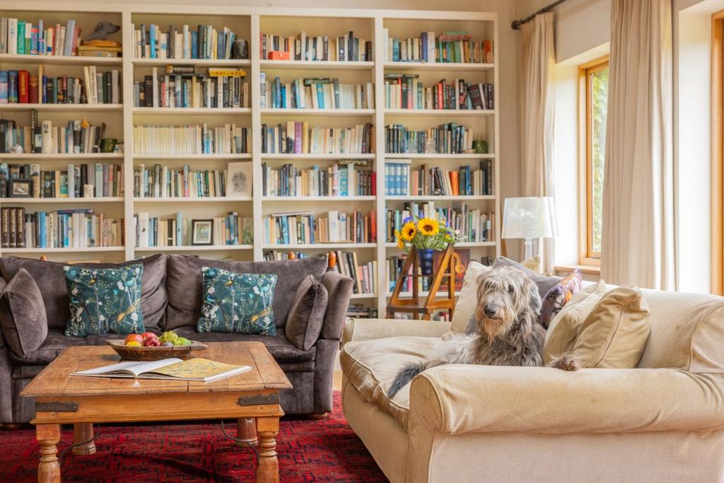 Drawing room with gorgeous dog