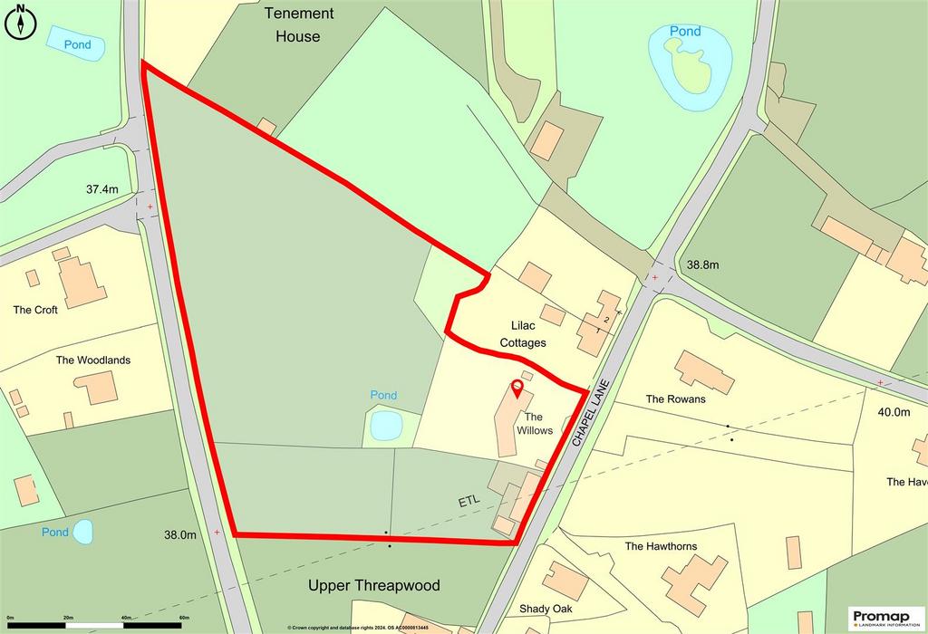 Promap-2908341-3008829-750-0.jpg