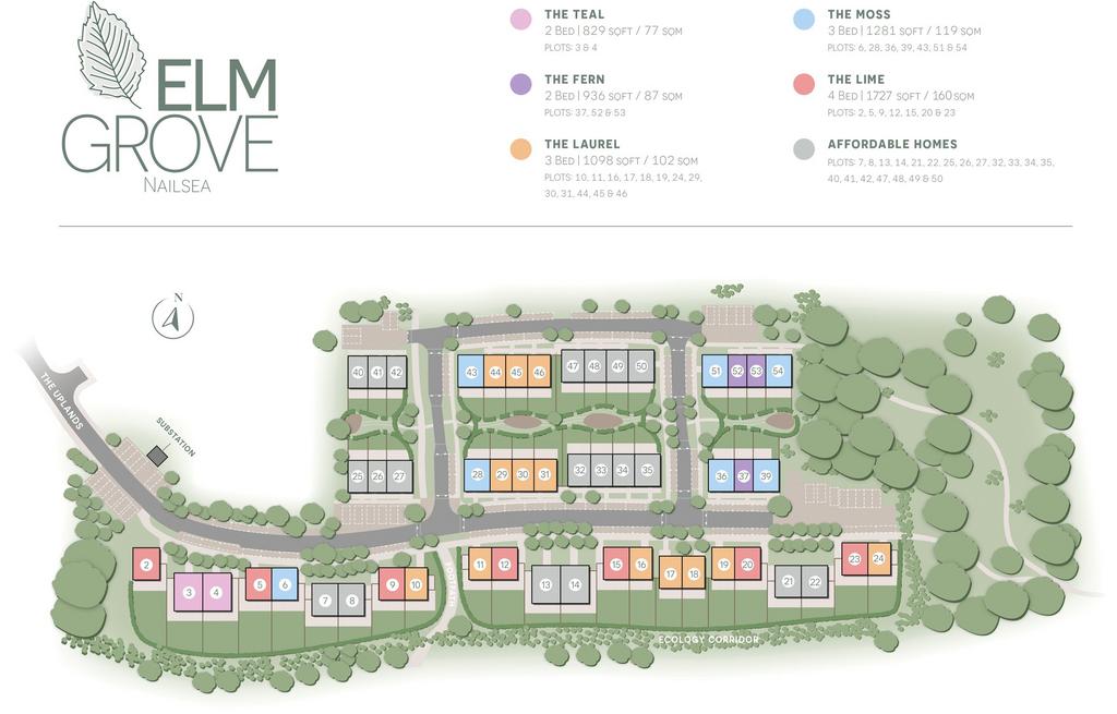 Elm Grove