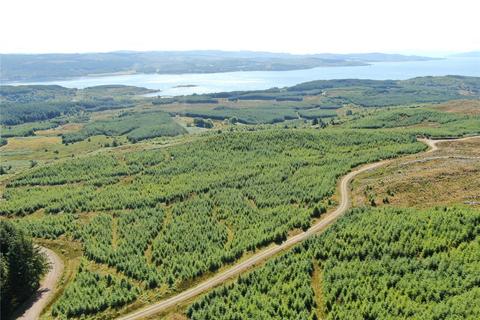 Land for sale, Achnaba Forest, Lochgilphead, Argyll and Bute