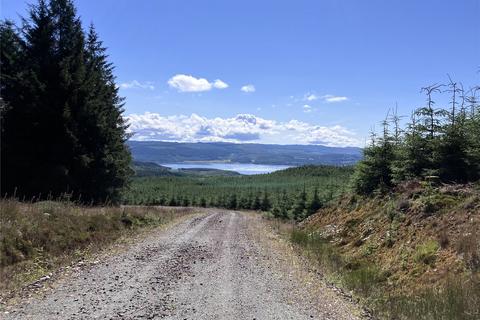 Land for sale, Achnaba Forest, Lochgilphead, Argyll and Bute