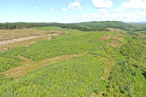 Land for sale, Achnaba Forest, Lochgilphead, Argyll and Bute