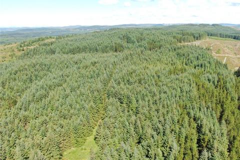 Land for sale, Achnaba Forest, Lochgilphead, Argyll and Bute